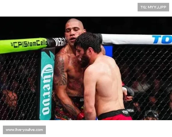 佩雷拉在UFC 320KO安卡拉耶夫，重夺轻重量级冠军腰带